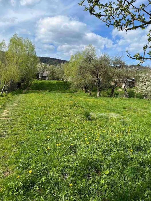 УЖОК / ЗАКАРПАТТЯ / Ділянка з будинком - 15 соток