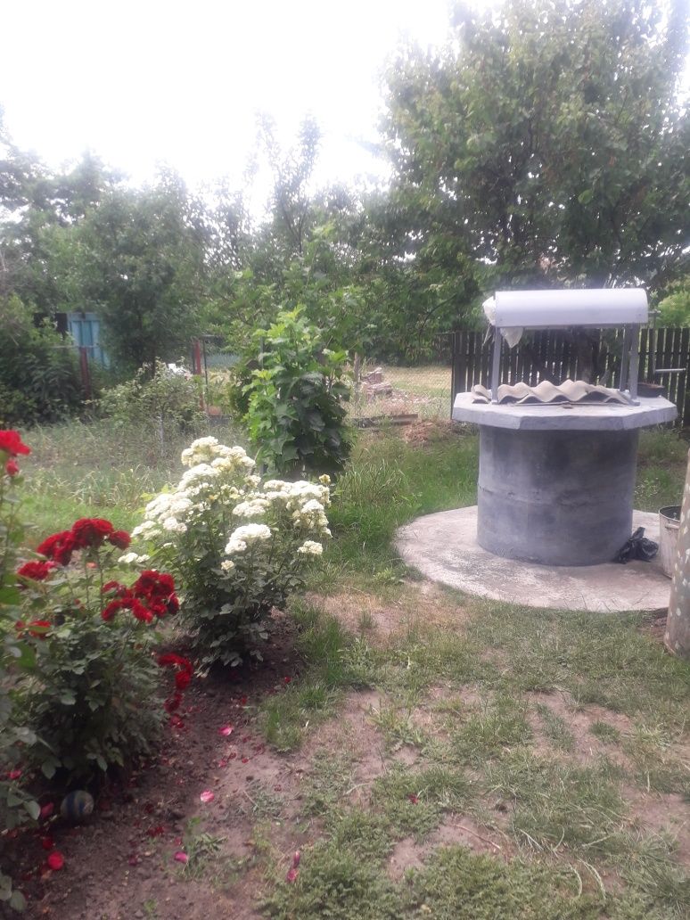 Продам будинок в с.Будки