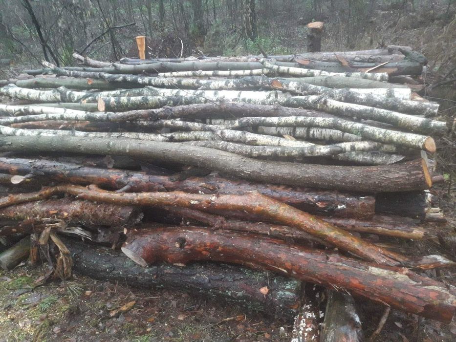 Drewno opałowe z transportem