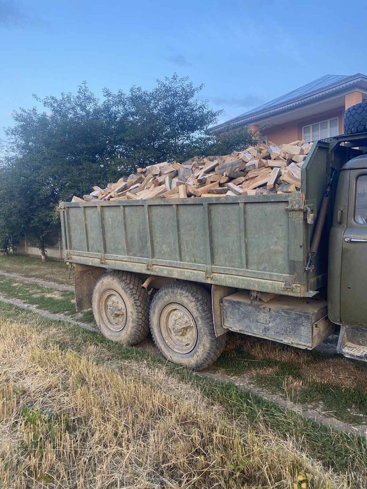 Дрова букові колені і не колені