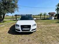 Audi A3 Audi A3 8P 1,6 MPI w gazie, czarny dach