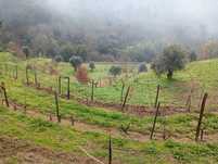 Terreno entre a ecopista e o rio dão