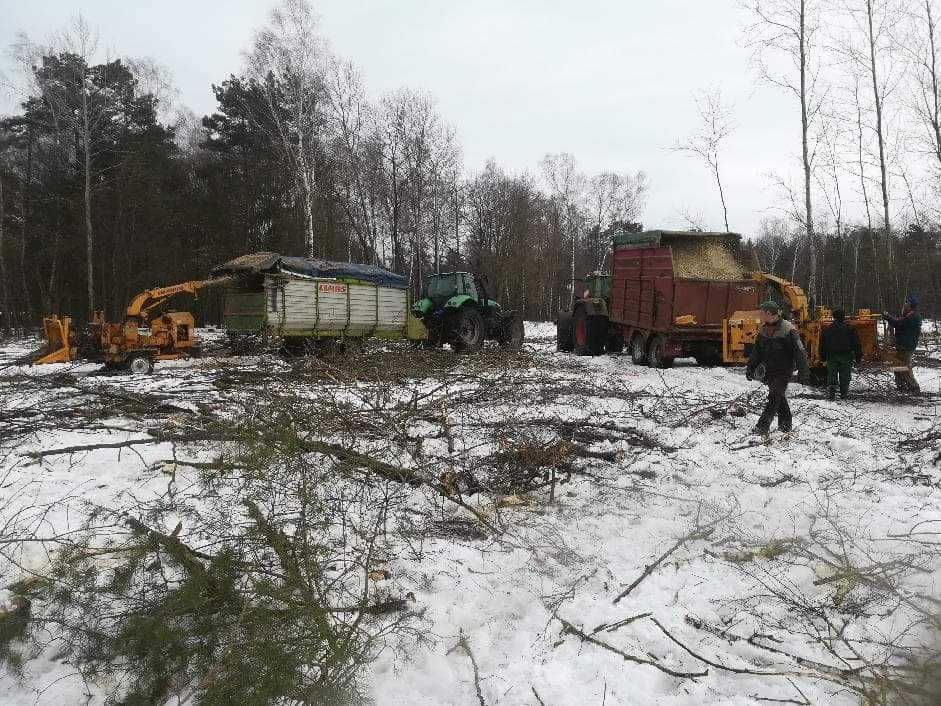 WYCINKA drzew lasów,samosiejek,rębak,mulczowanie,rekultywacja