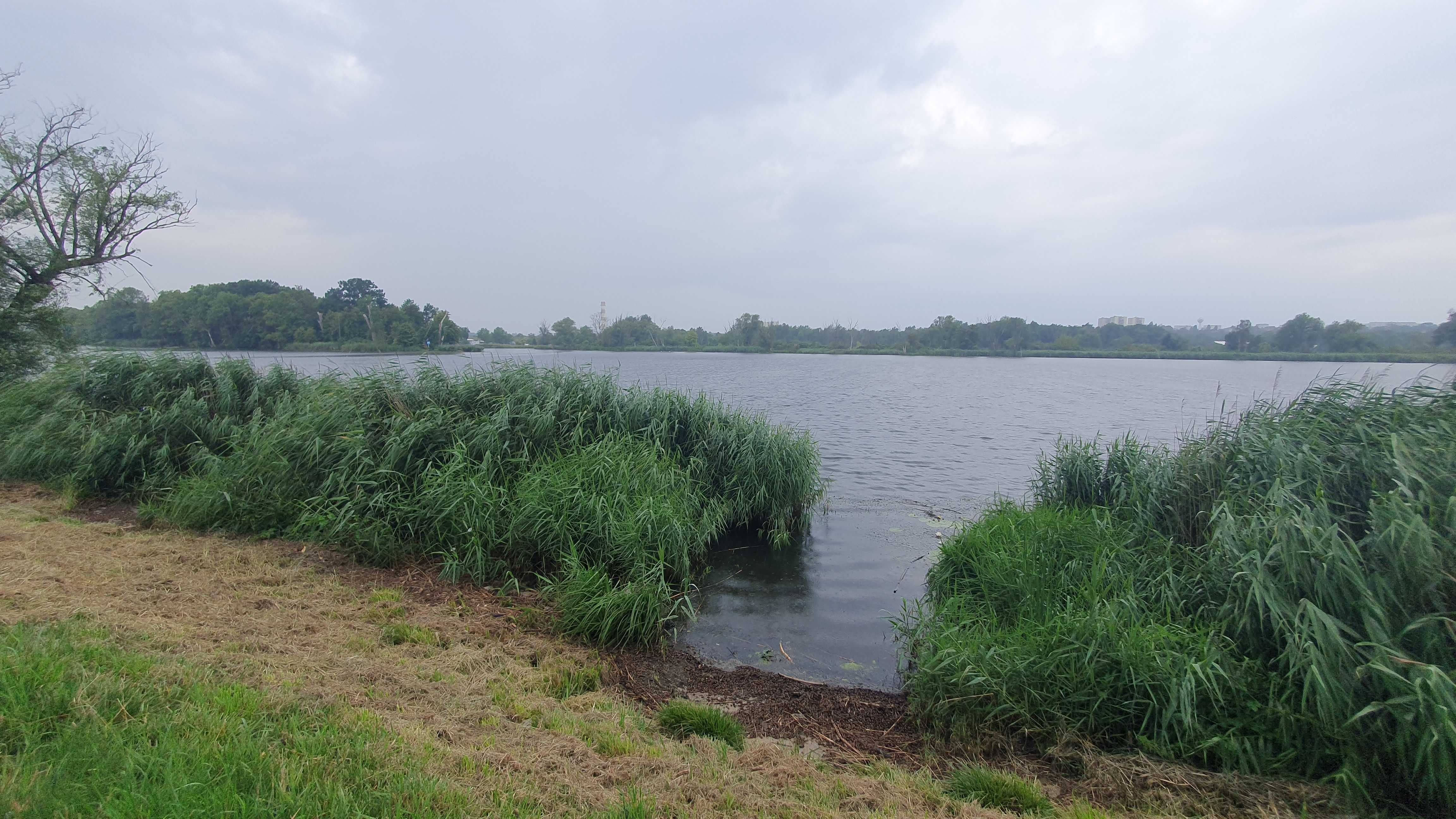 Działka ROD Jutrzenka - nad wodą