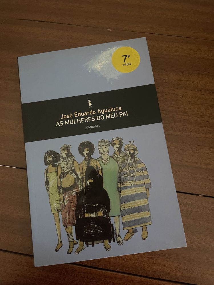 Livro as mulheres do meu pai