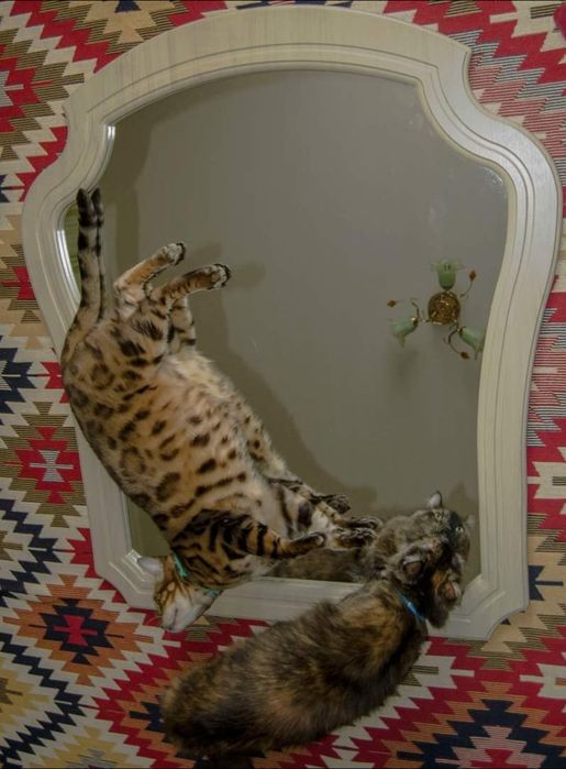 Продам велике дзеркало