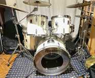 ‘82 Premier Royale APK metallic oyster