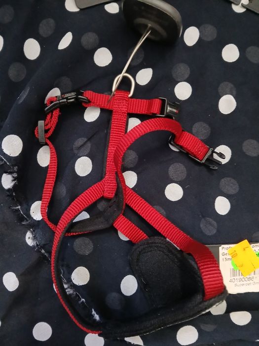 Szelki czerwone wolters S