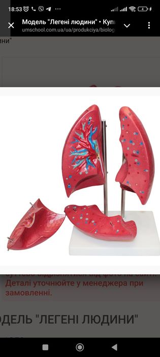 Услуги 3д печати и сканирования/3д печать/3д сканирование