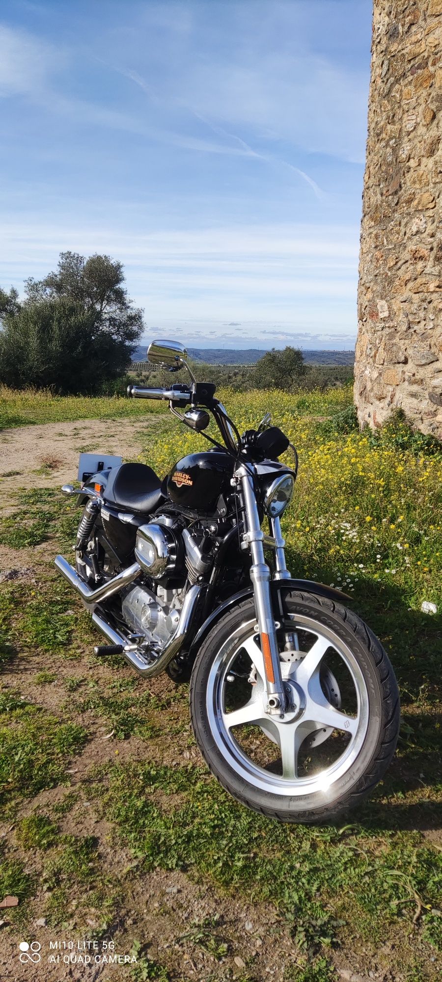 Harley Davidson 883