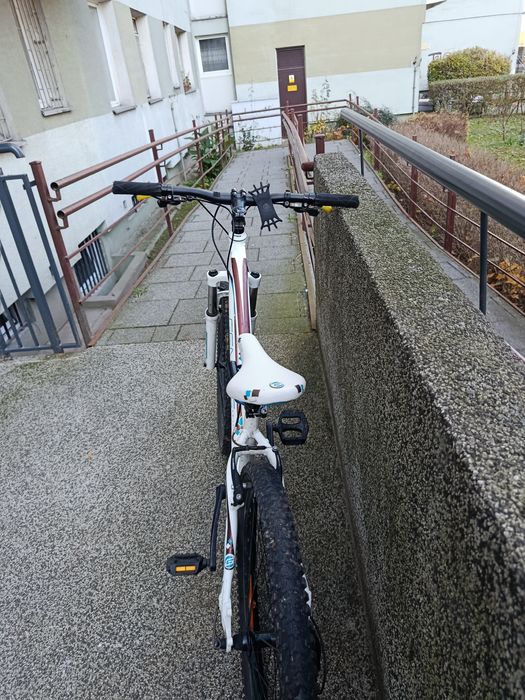 Rower mtb Genesis Zeta