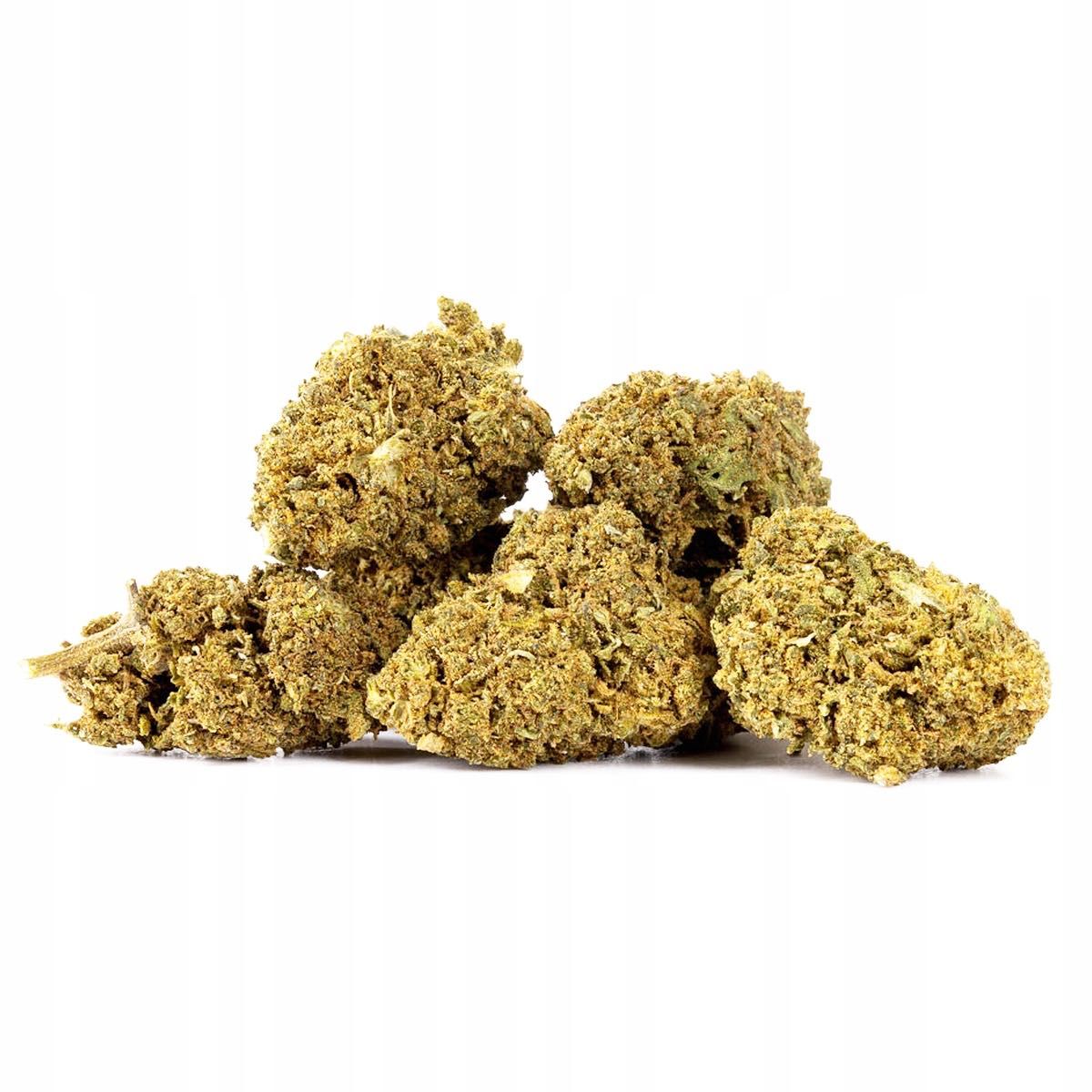 100G Susz konopny CBD JACK HERRER 30% Producent Szwajcaria