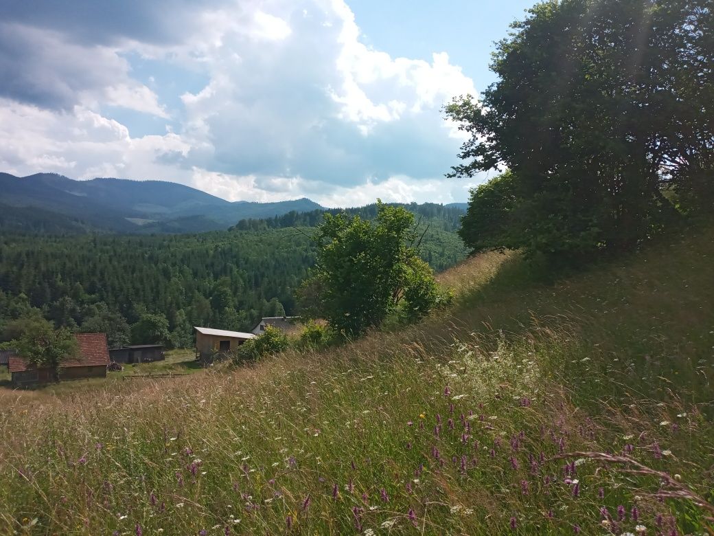 Земельна ділянка с. Чорна Тиса (новий буковель)