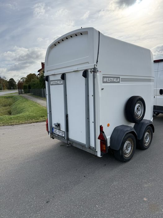 Westalia przyczepa do koni zwierzat