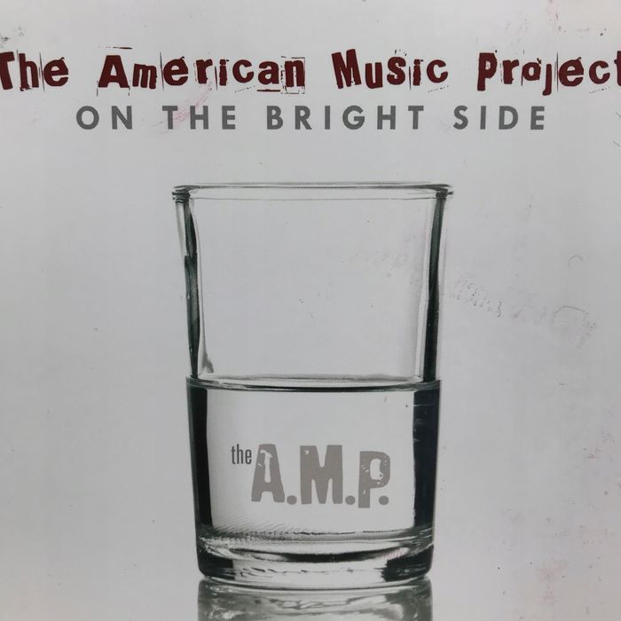 cd - american music project - on the bright side
