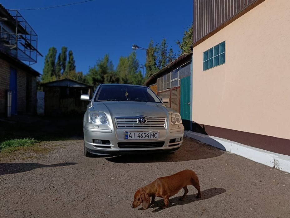 TOYOTA Avensis T25