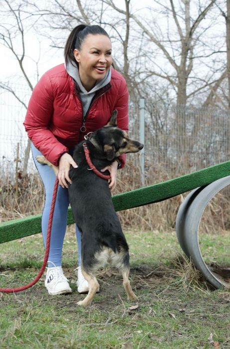 Adoptuj AKORDA-zyskaj przyjaciela