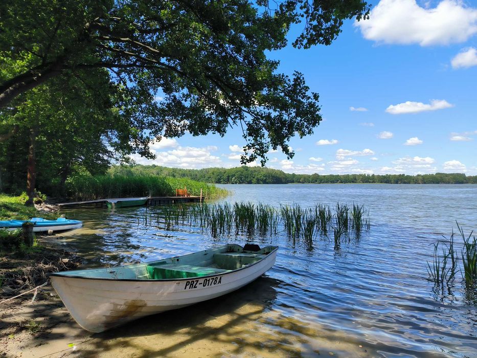 Domek letniskowy nad jeziorem Dadaj, linia brzegowa, pomost, łódki