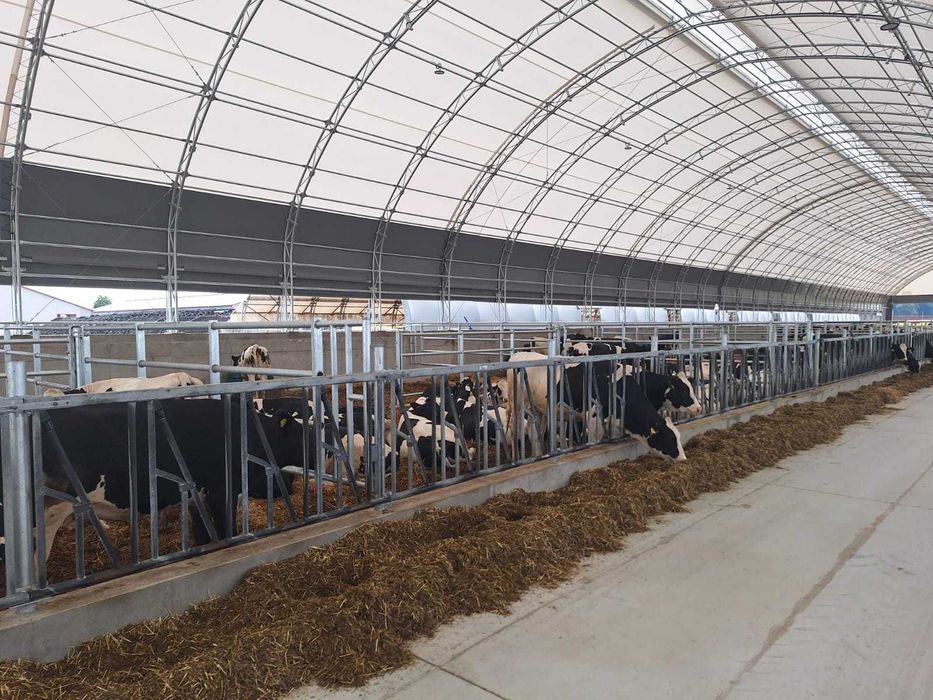 Oryginalne HaleNaBale.pl pod bydło 16x30 wietrz. boczne i kalenicowe