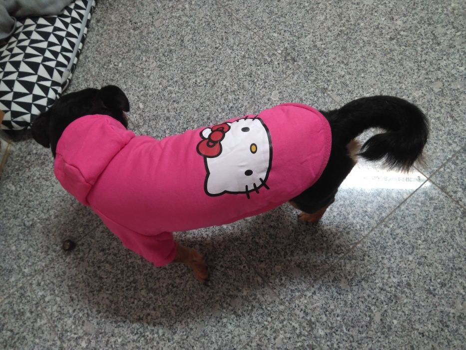 Camisola Hello Kitty de Inverno para gato / cão de porte pequeno