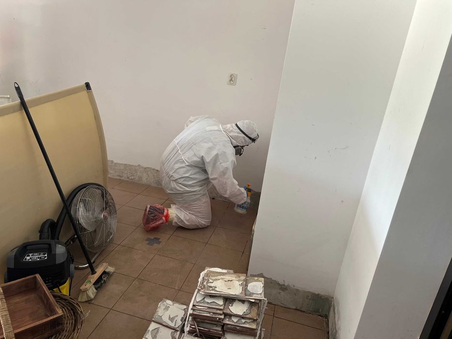 Odgrzybianie - Usuwanie pleśni ! Proklienckie podejscie.