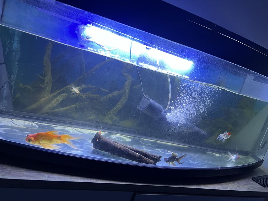 Aquario 135 Litros