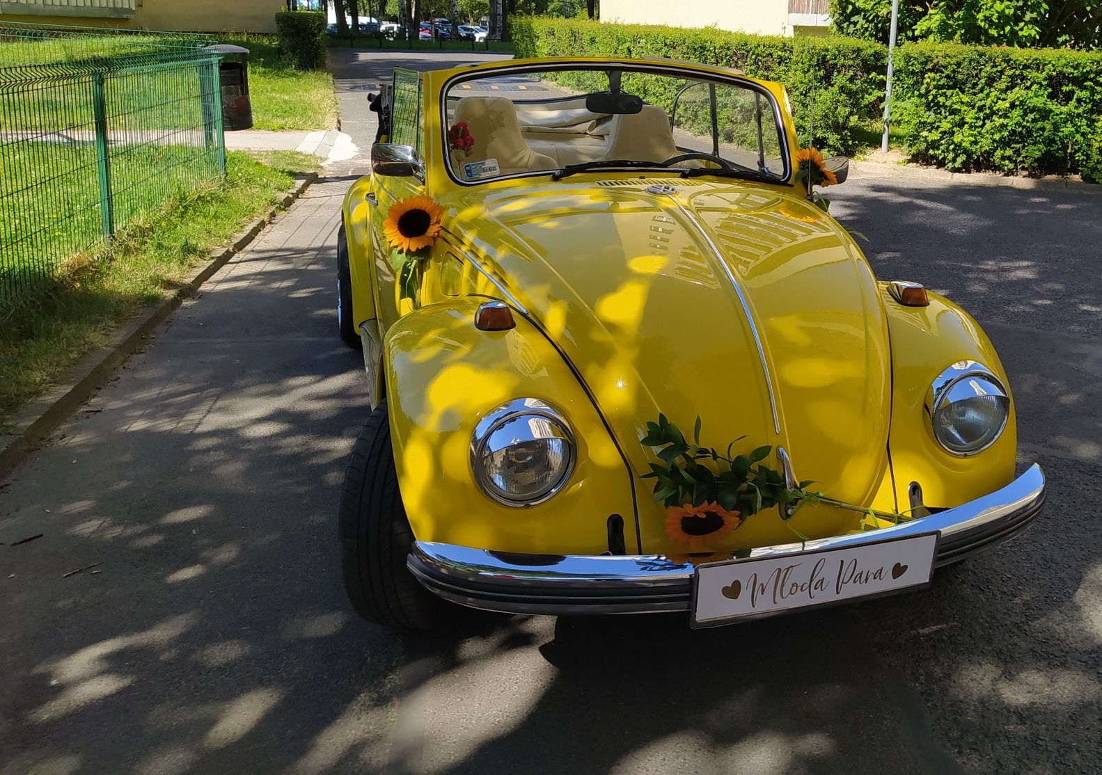 Samochód ,Auto do Ślubu Vw  Garbus Cabrio