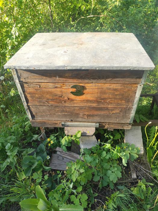 Улья, улей для пчел, разные