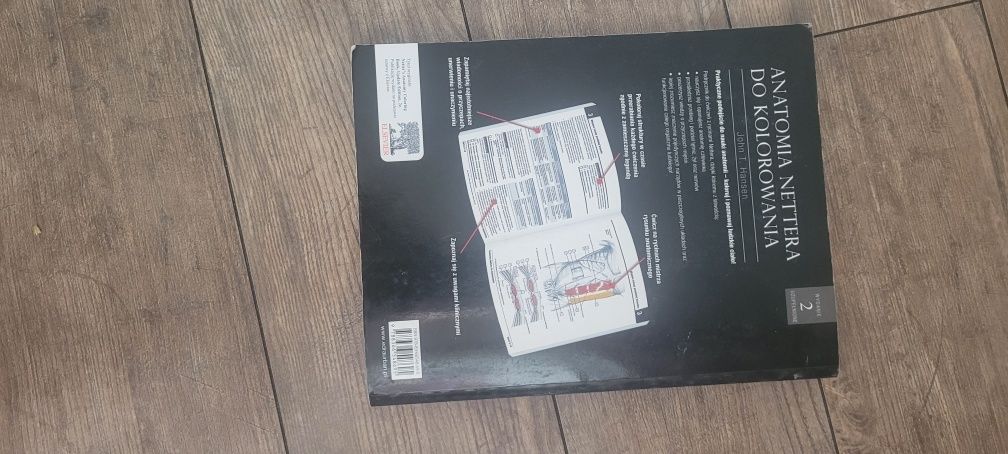 Anatomia Nettera do kolorowania