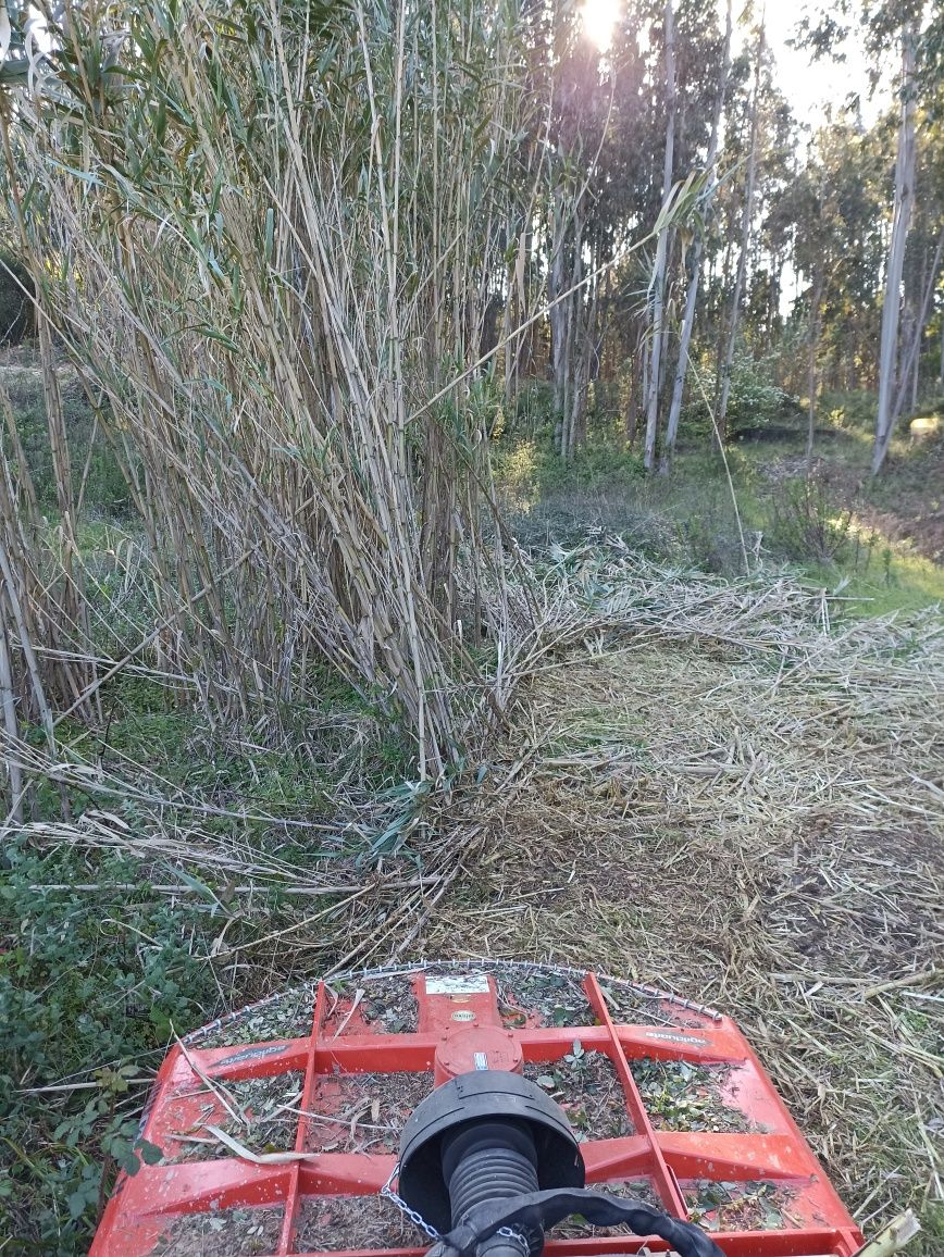 Limpeza de terrenos