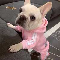 Nowe ubranko dla psa kota kombinezon różowy bluza z kapturem Adidog s