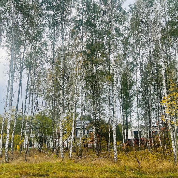 Działka w Sowlanach