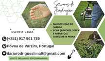 Serviços de jardinagem ( orçamento gratuito)
