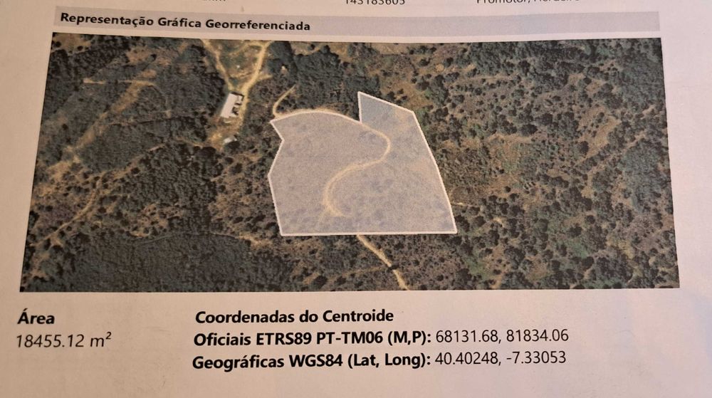 Quinta com ruína
