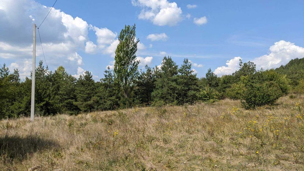 Продаж земельної ділянки на Дністрі Рудківці