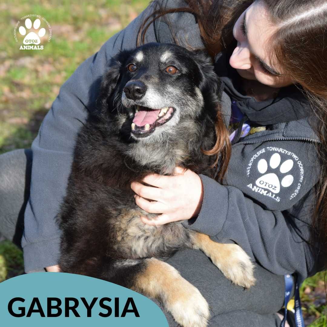 Gabrysia szuka domu!