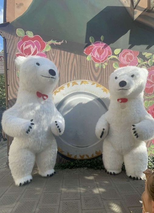 Fotobudka 360, Videobudka 360, Bialy Miś, Panda