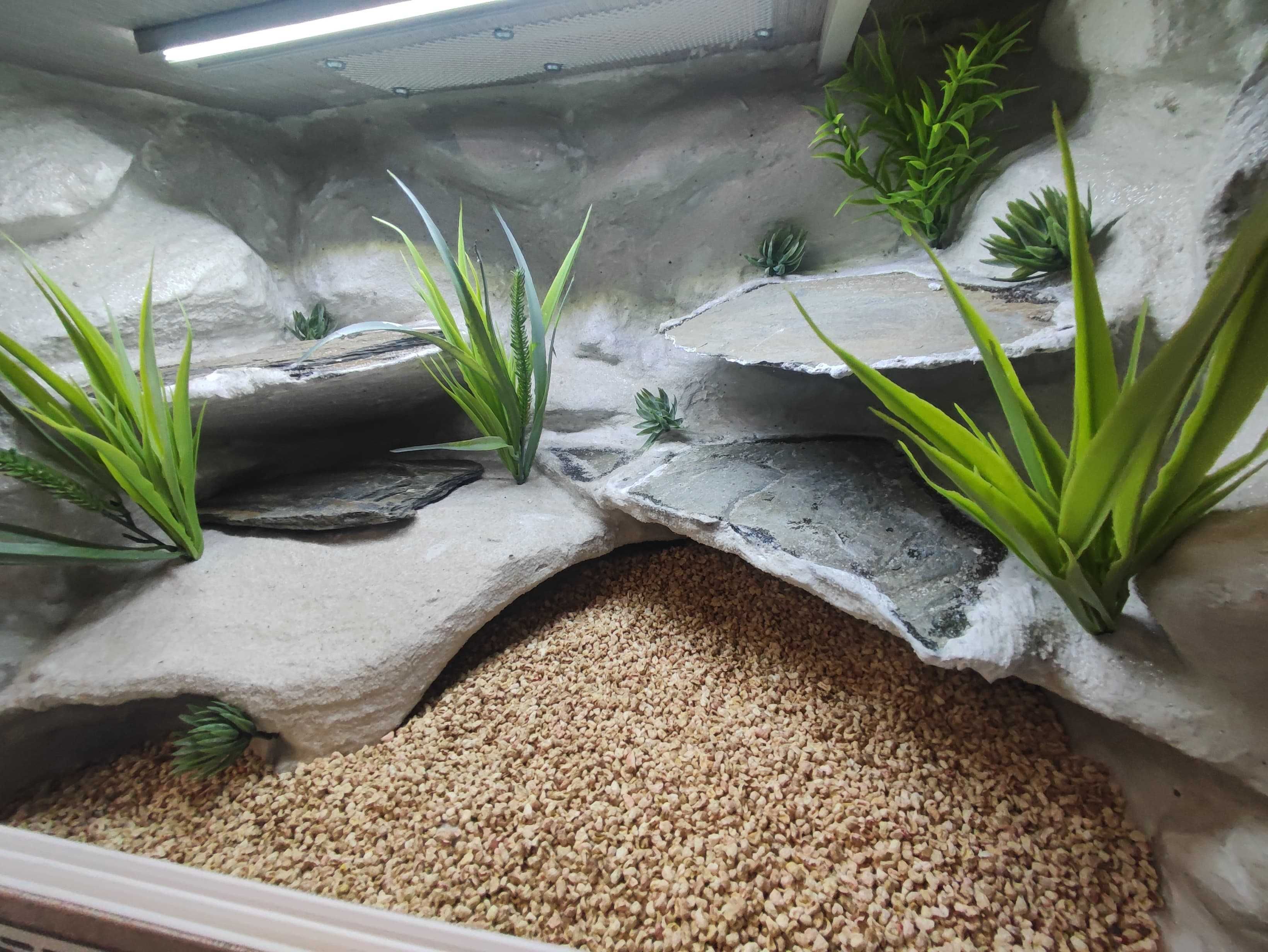 Terrarium pustynne nr711 60/40/40 dla gekona lamparciego DOSTĘPNE