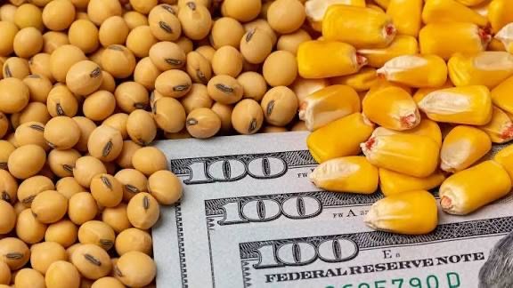 Закуповуємо зернові та олійні культури!