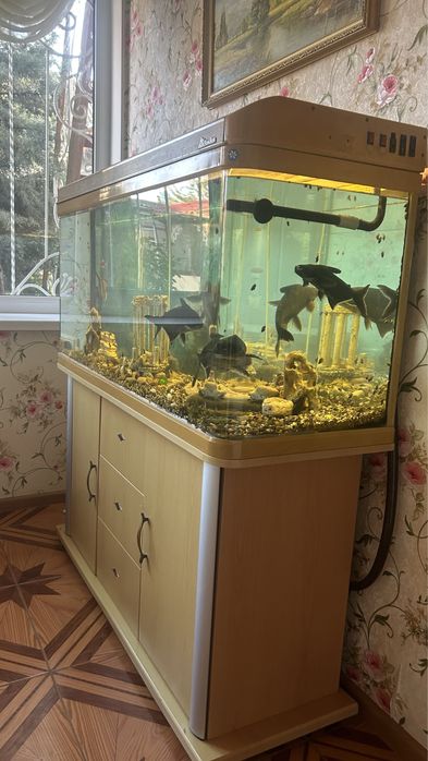 Аквариум с тумбой !