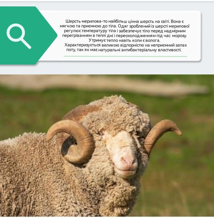 Термобілизна норвежської фірми Devold. 8 років 80% шерсть , дуже теплі