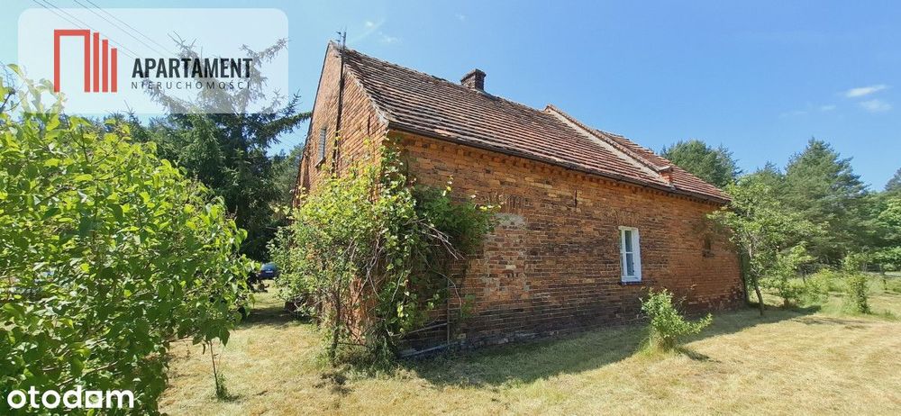 Wolnostojący dom pod lasem