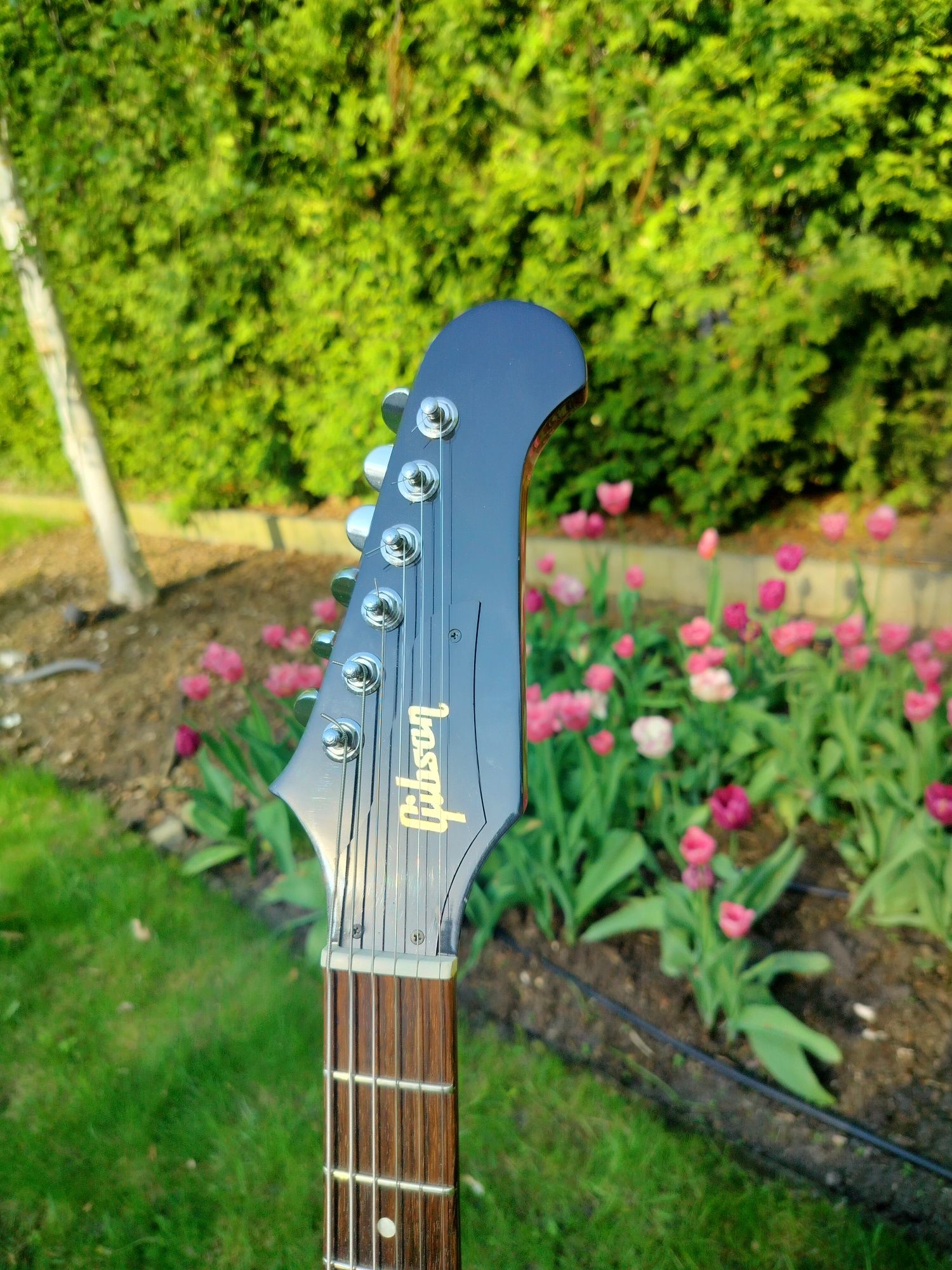 Gibson Firebird Studio 2017