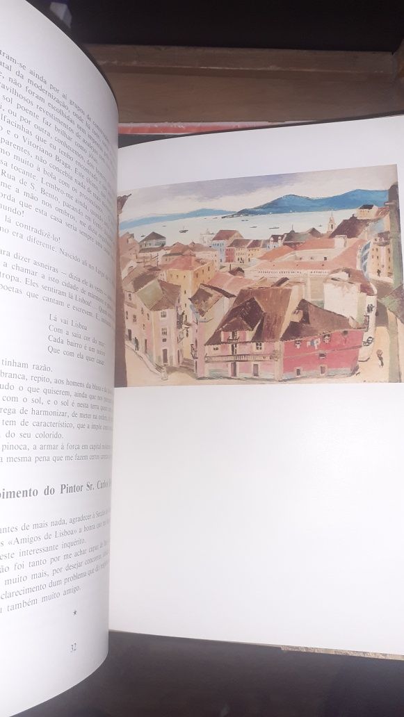 A cor de Lisboa livro Carlos botelho pintura