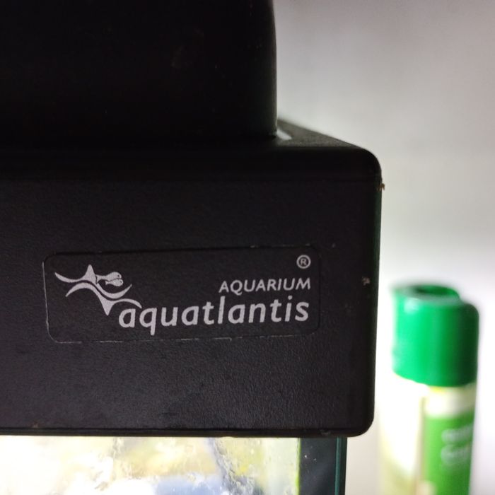Aquário 1m Aquatlantis