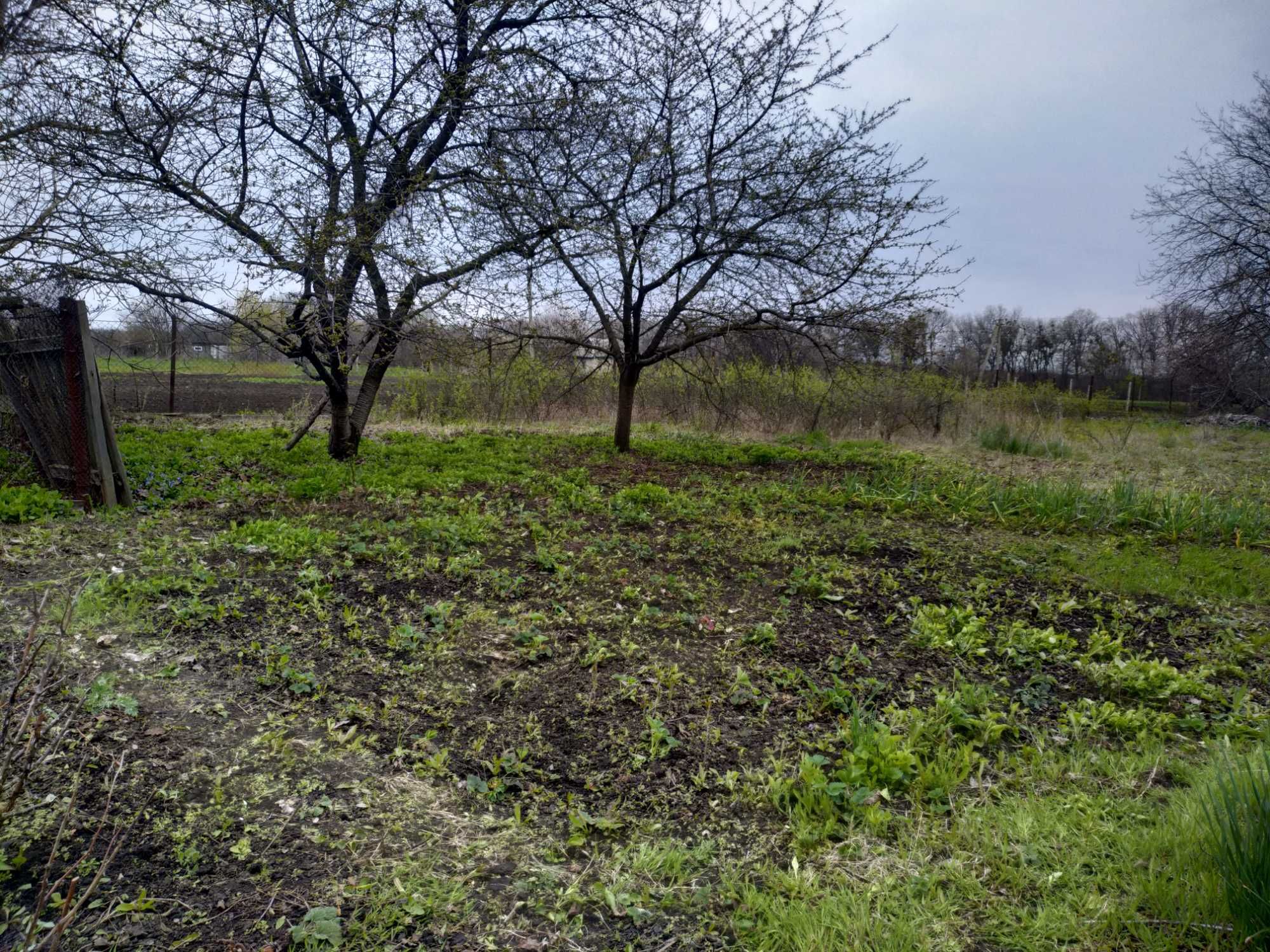 Продам дім в с.Вільне, Новомосковський р-н.