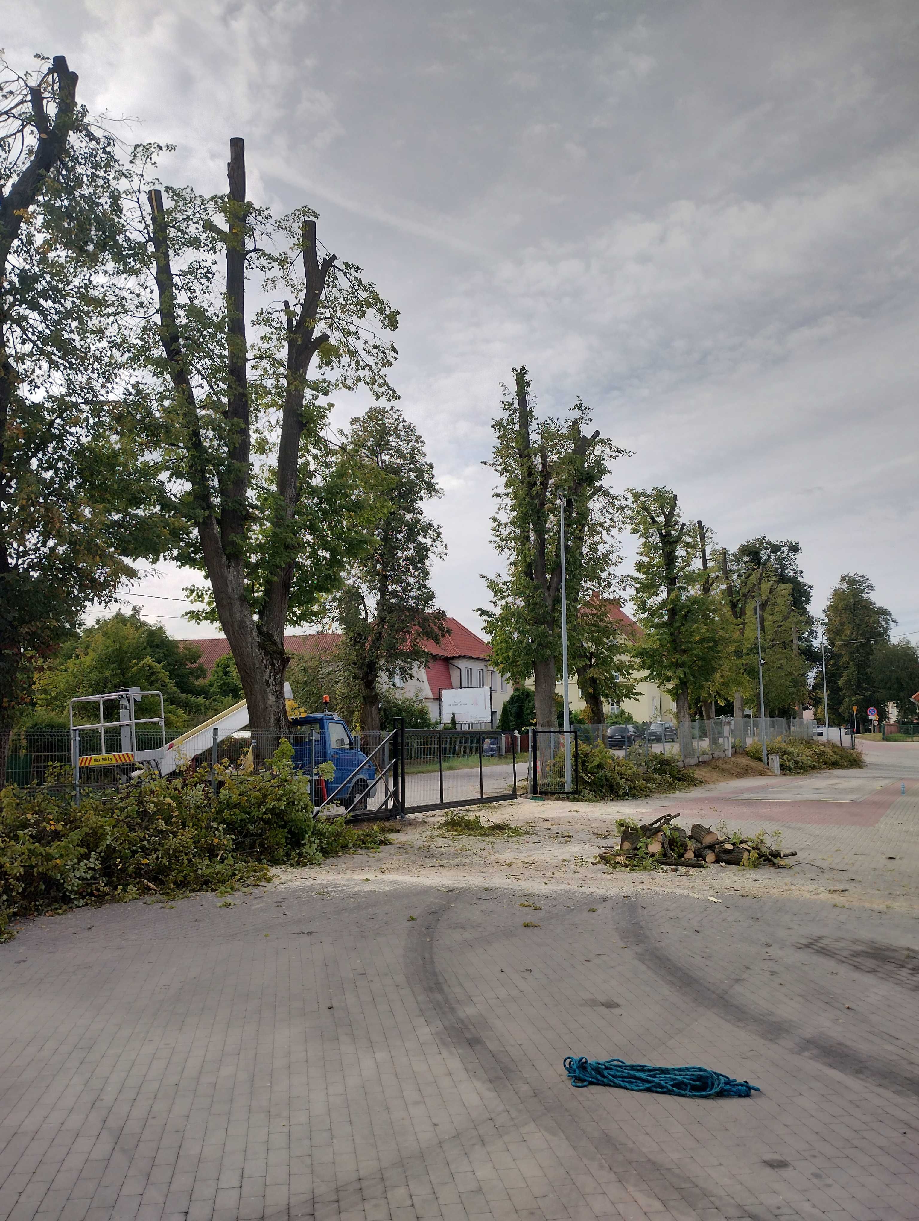 Zakładanie ogrodów .wycinka drzew,wynajem podnośnika koszowego, koszen