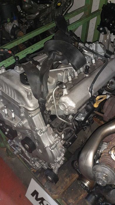 Motor Hyundai i20 1.4 CRDi 90 cv 15-23 ref.| D4FC |