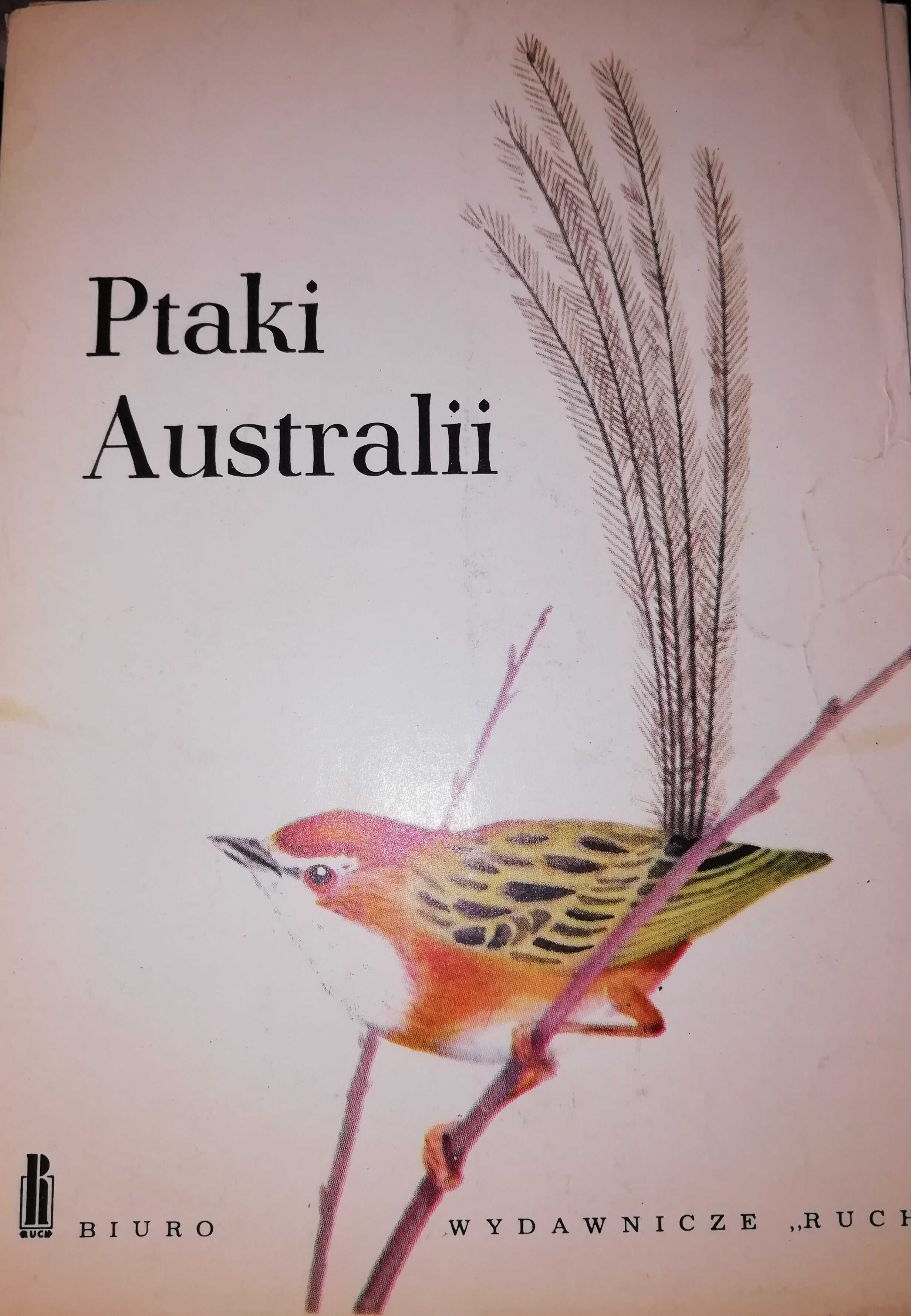 Alojzy Balcerzak Ptaki Australii
