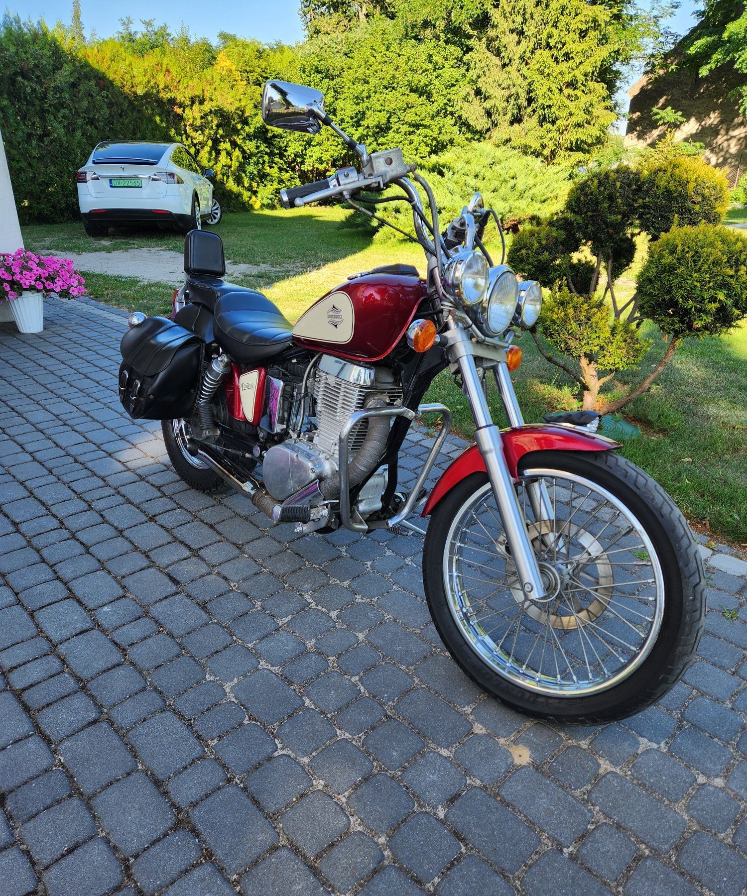 Suzuki Savage LS 650 ( na A2 ) Super Stan
